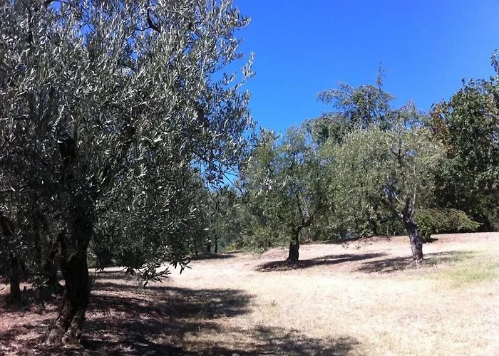 Séjour à la ferme Il Palazzaccio *